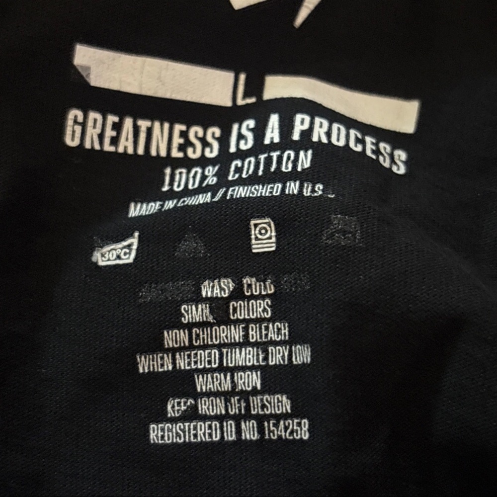 PAPER PLANES Mens BIRDS OF A FEATHER Shirt Greatness Is A Process Size Large - Picture 8 of 14